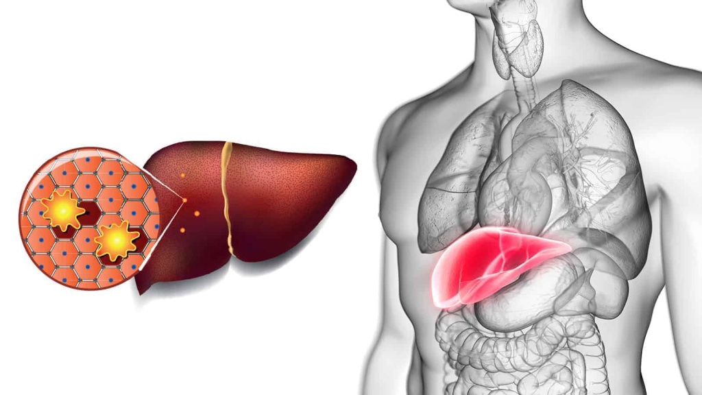 Researchers-Explain-Why-Detoxing-Your-Liver-is-So-Important-for-Your-Health.jpg