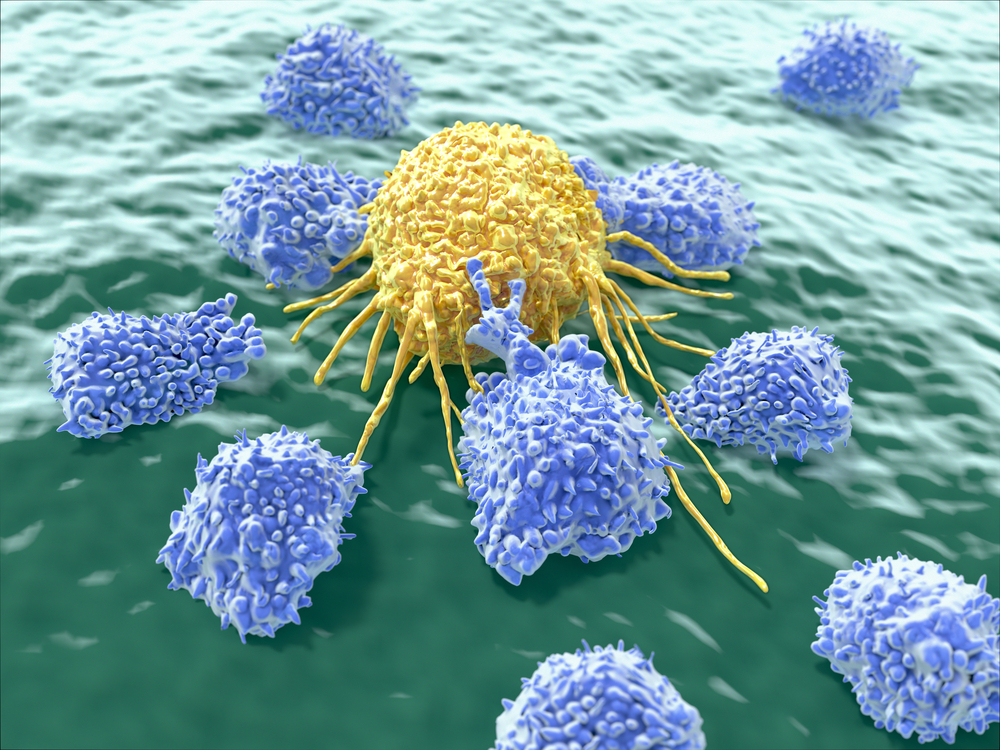 Раковые клетки и лимфоциты